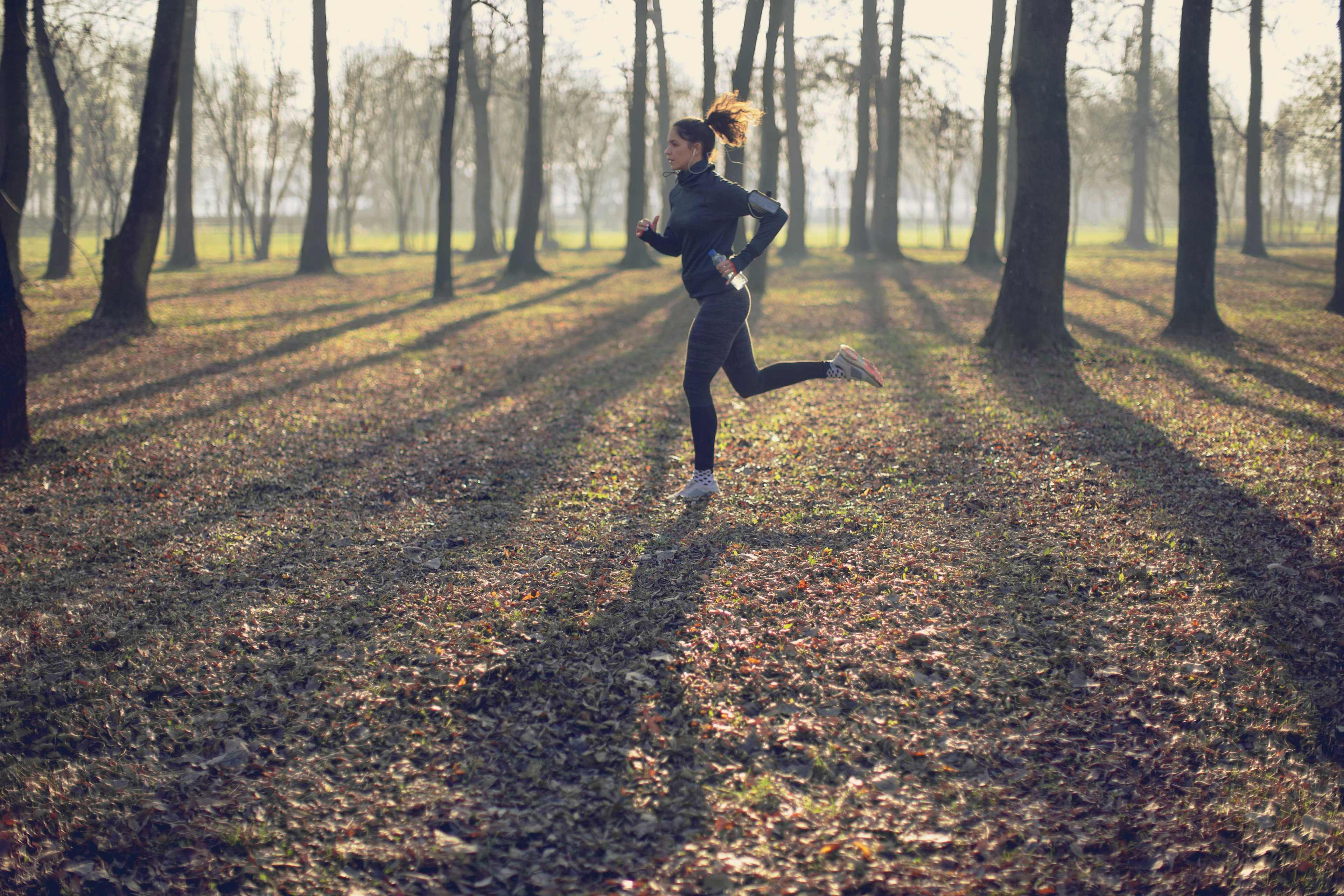 Bewegung_Joggen_Joggerin_Wald_s_hdr8gz