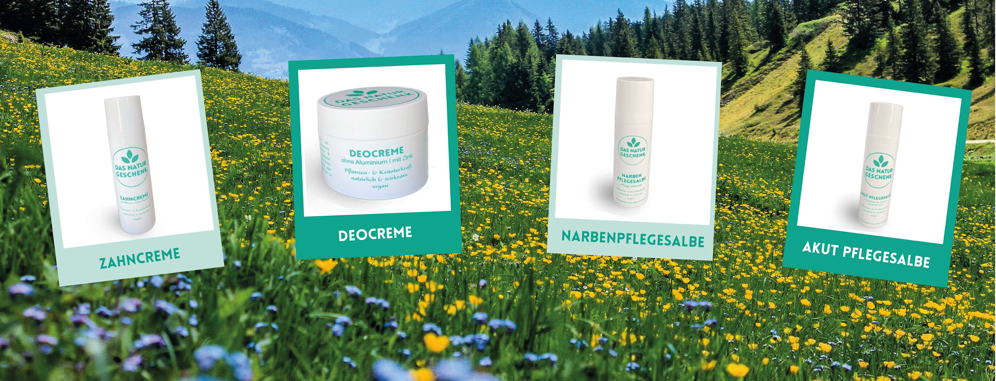 active4life-bild-dasnaturgeschenk