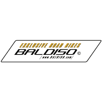 active4life-logo-baldiso