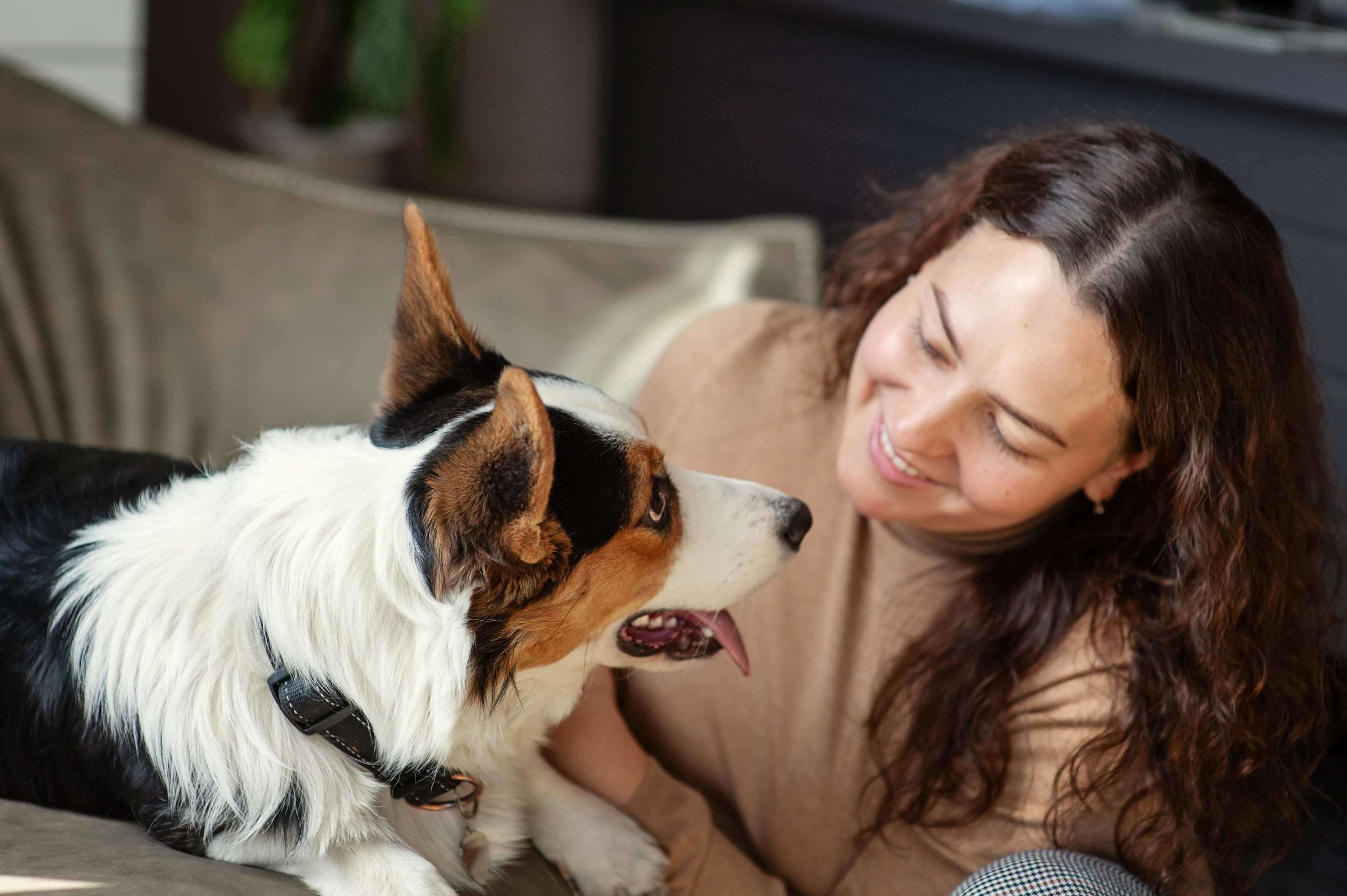 Tierische_Kunden_Frau_Hund_Sofa_s_paihcz